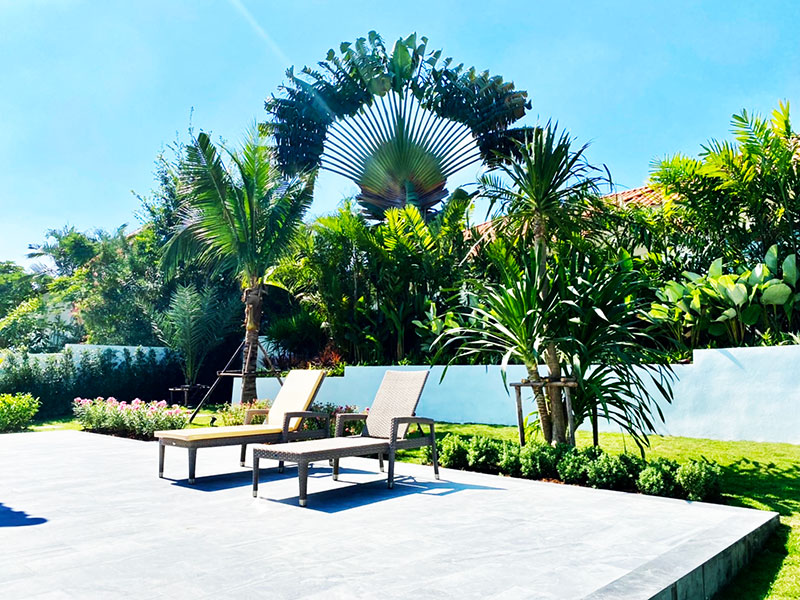 garden tropical landscaping ideas