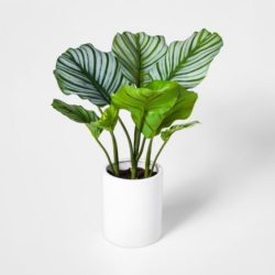 Artificial Calathea