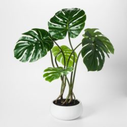 Artificial Monstera (A)