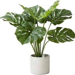 Artificial Monstera (B)