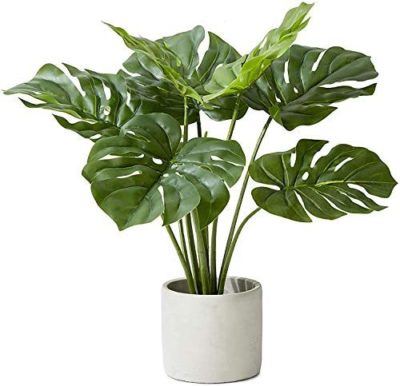 Artificial Monstera (B)