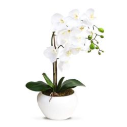 Artificial Orchid