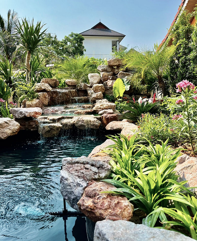 Amazing Tropical Pond Design