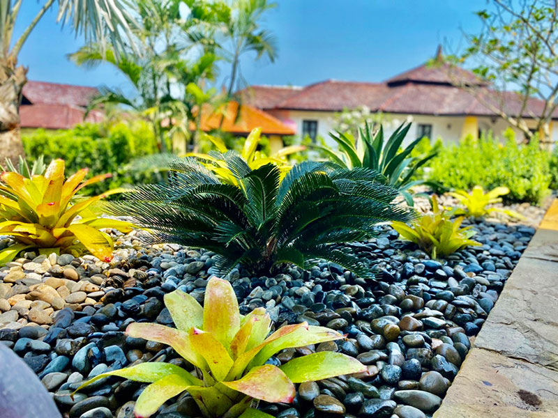 tropical garden designer