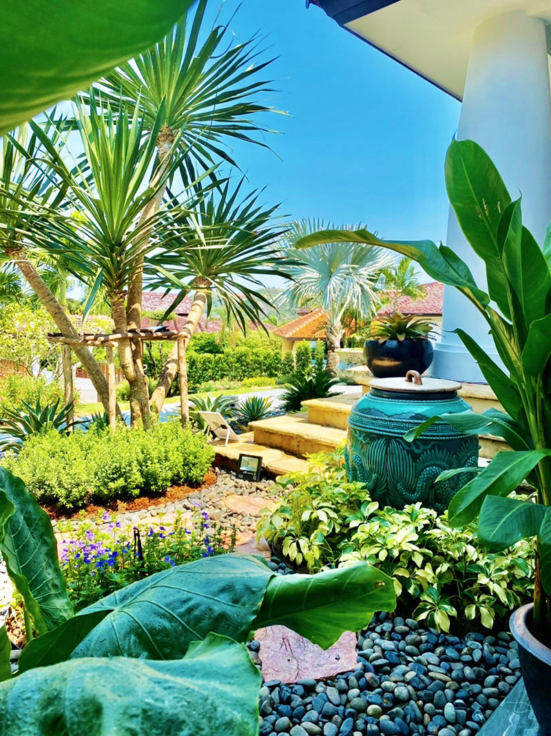 garden tropical landscaping ideas
