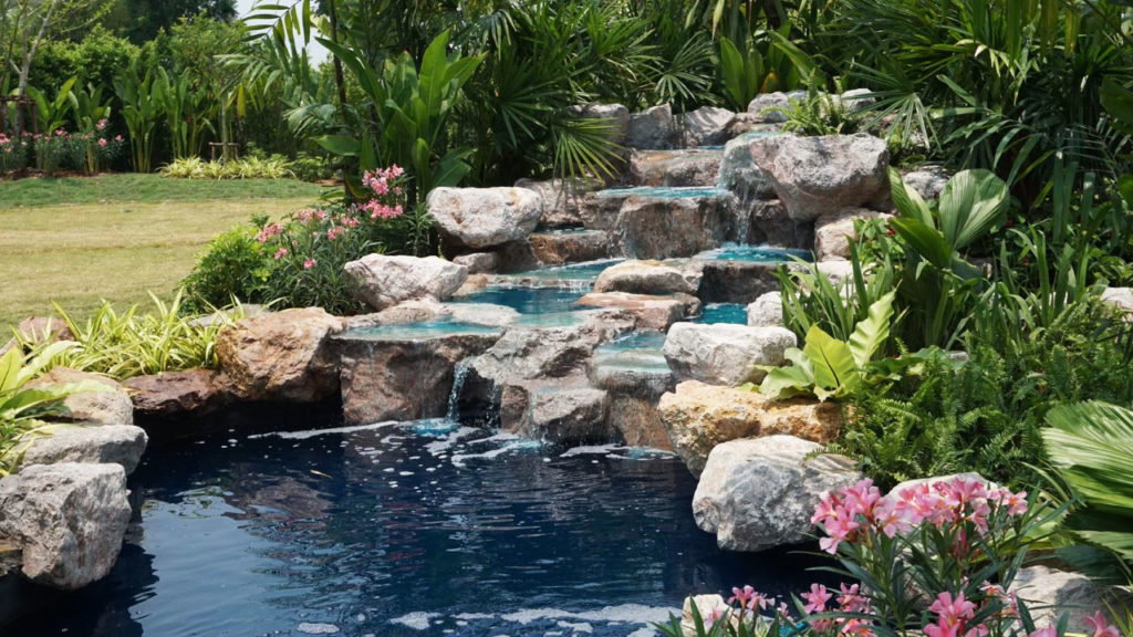 amazing pond builder tropical thailand