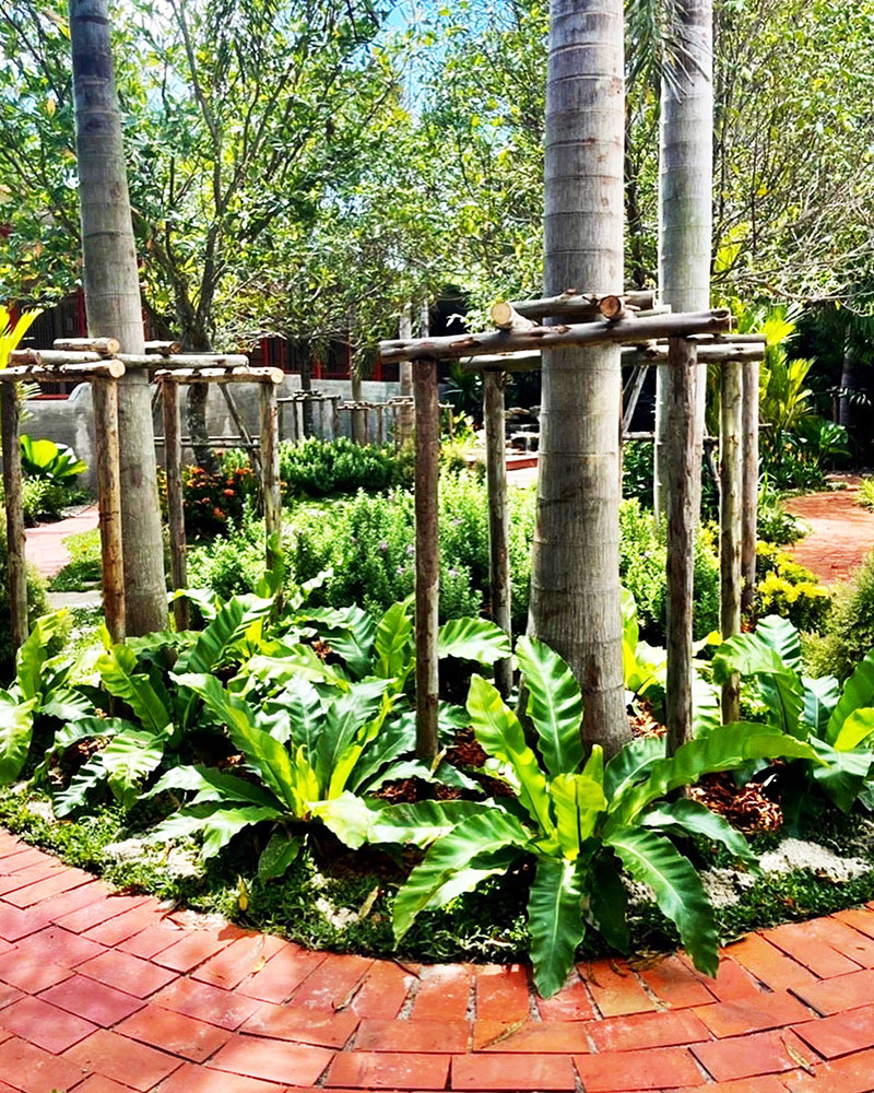 tropical garden plants in thailand