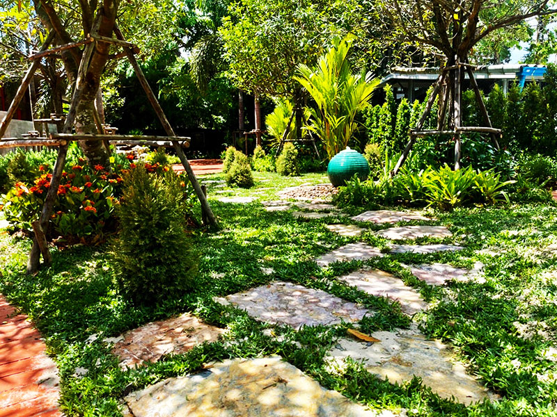 soi dog foundation landscape garden