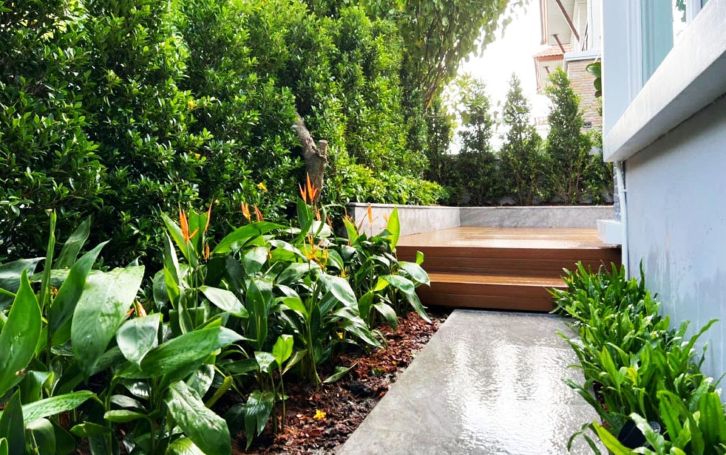 tropical garden designs