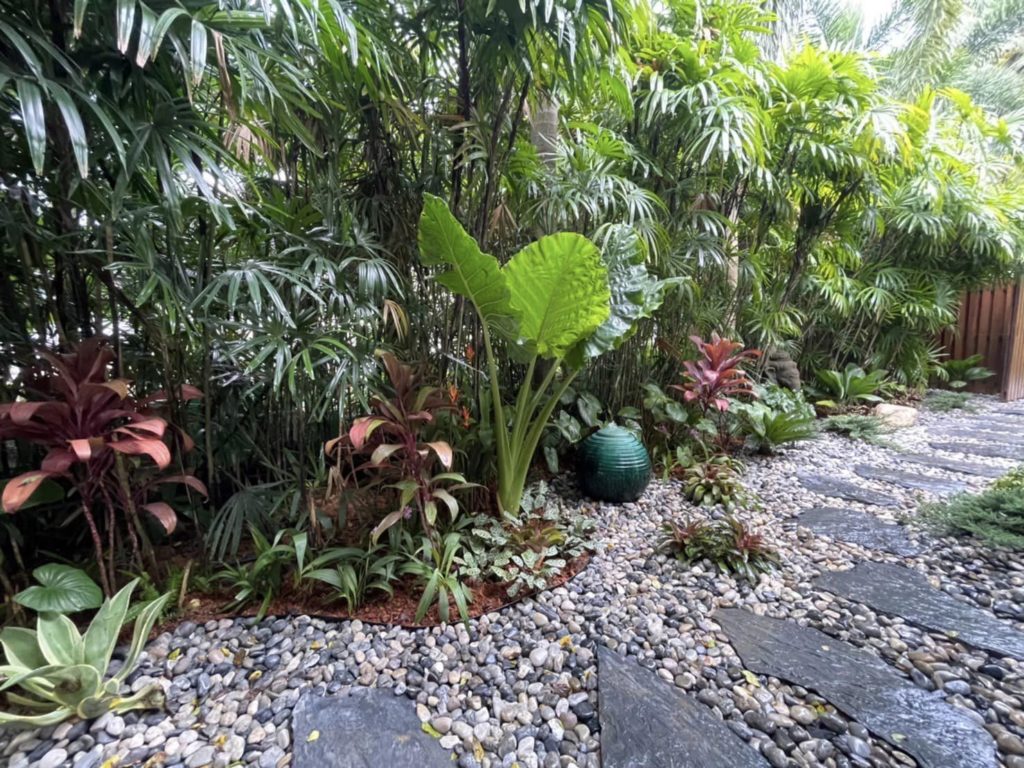 amazing tropical gardens in thailand
