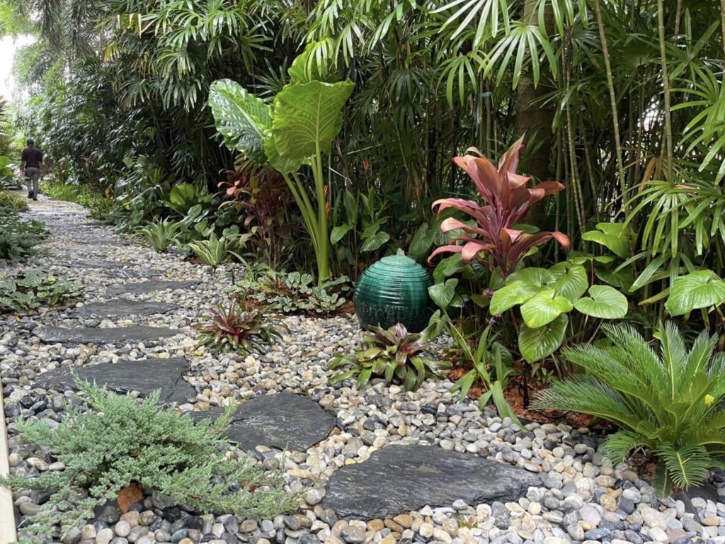 Thiết kế sân vườn phong cách nhiệt đới vạn người mê 