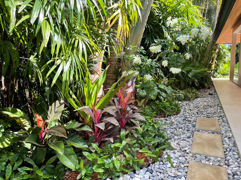 tropical garden designs