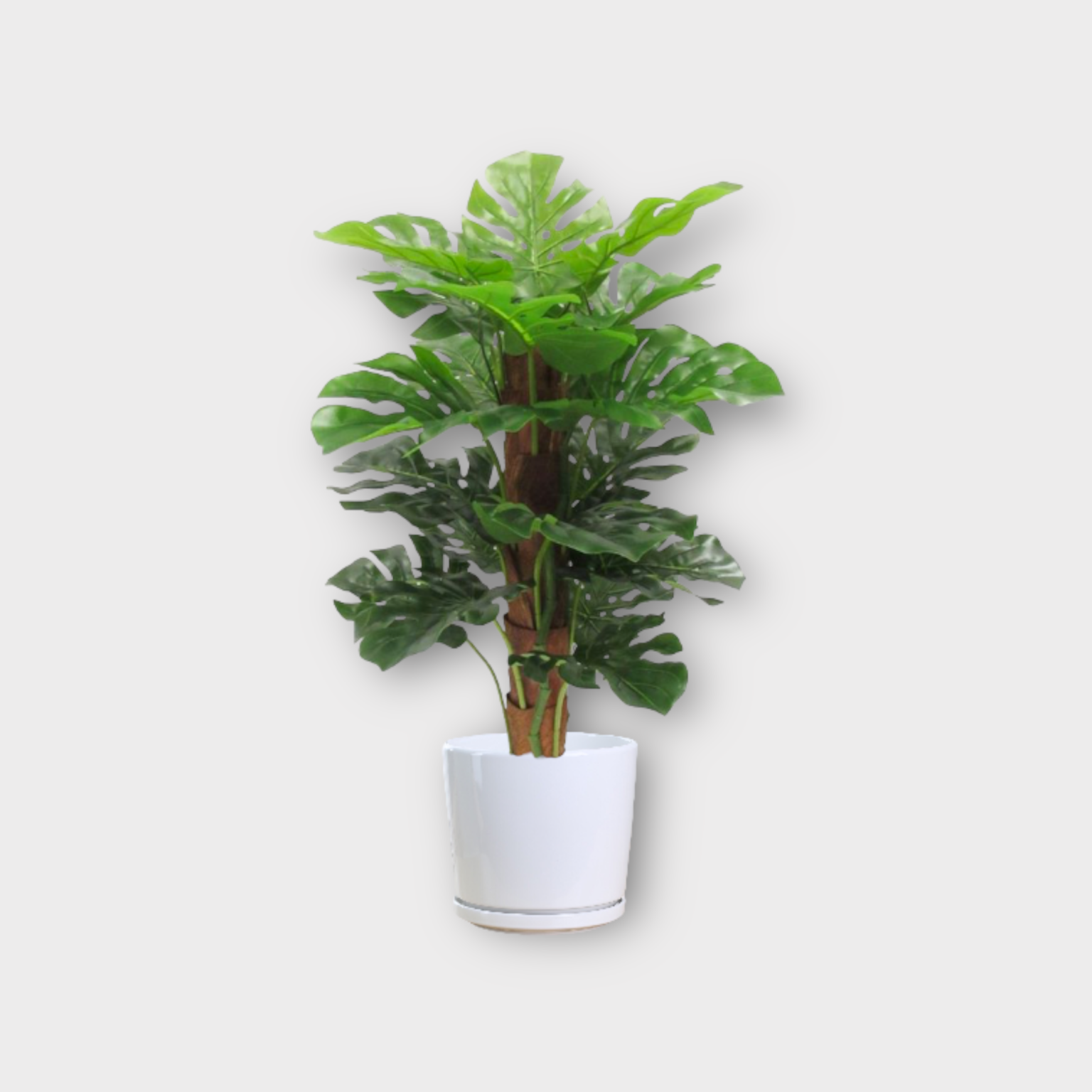 Artificial Monstera Plant Thai Garden Design