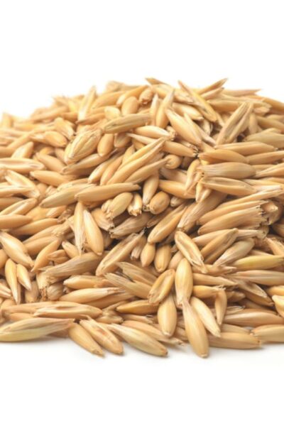 Grass Seed - Image 4