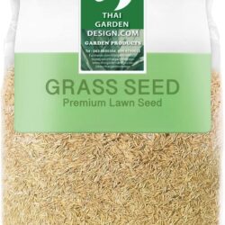 Grass Seed