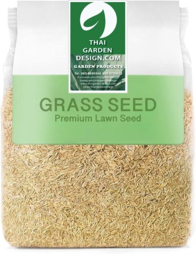 Grass Seed