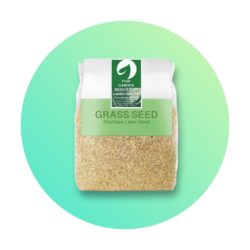 Types of Grass.