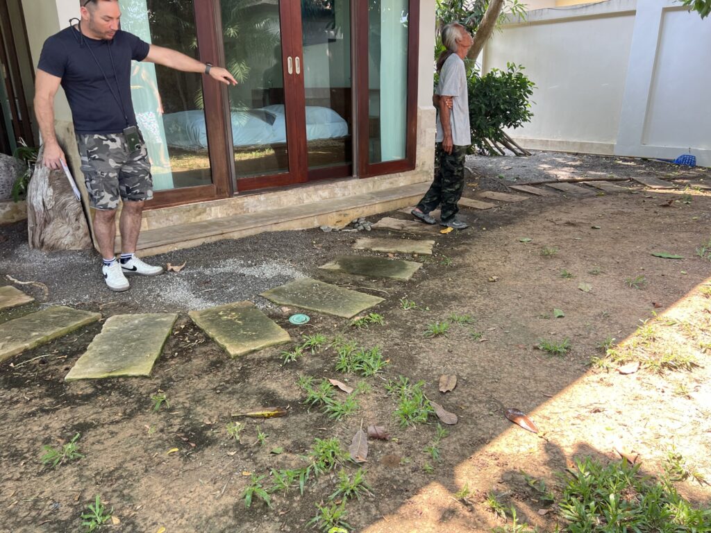garden pond designer