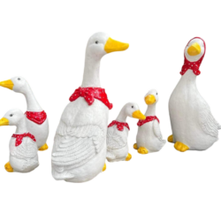 WONDERLAND Duck Set