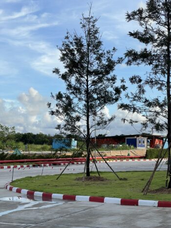 Super Trees in Tropical Garden