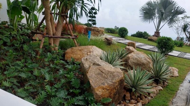 tropical plant designer thailand