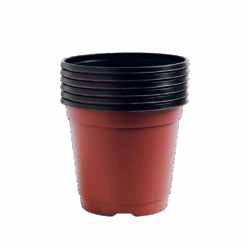 4-Inch Plastic Plant Pot – Round Shape 15 pcs (Brown)