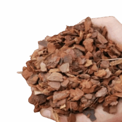 Tree Bark Nuggets