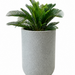 Acacia Model - Tall Polymer Plant Pot