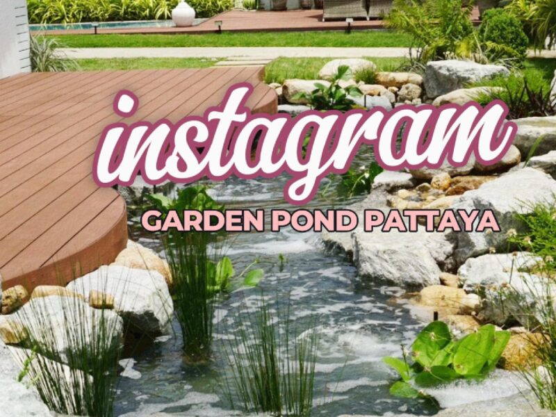 Pattaya pond design