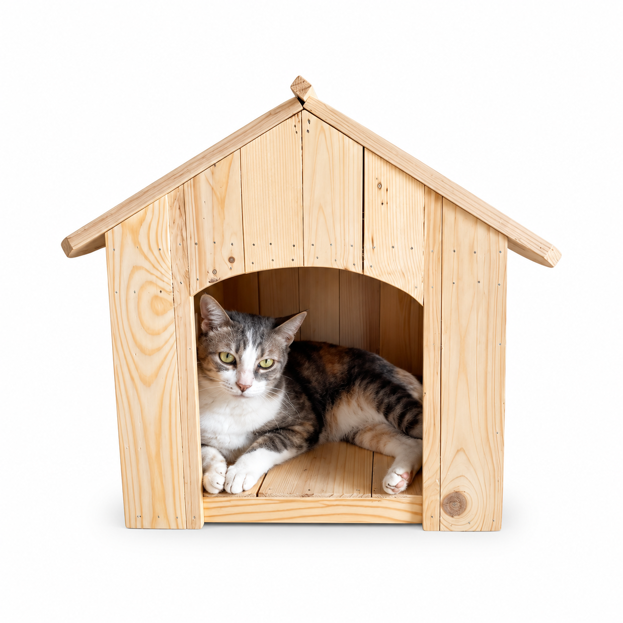 Dog & Cat House