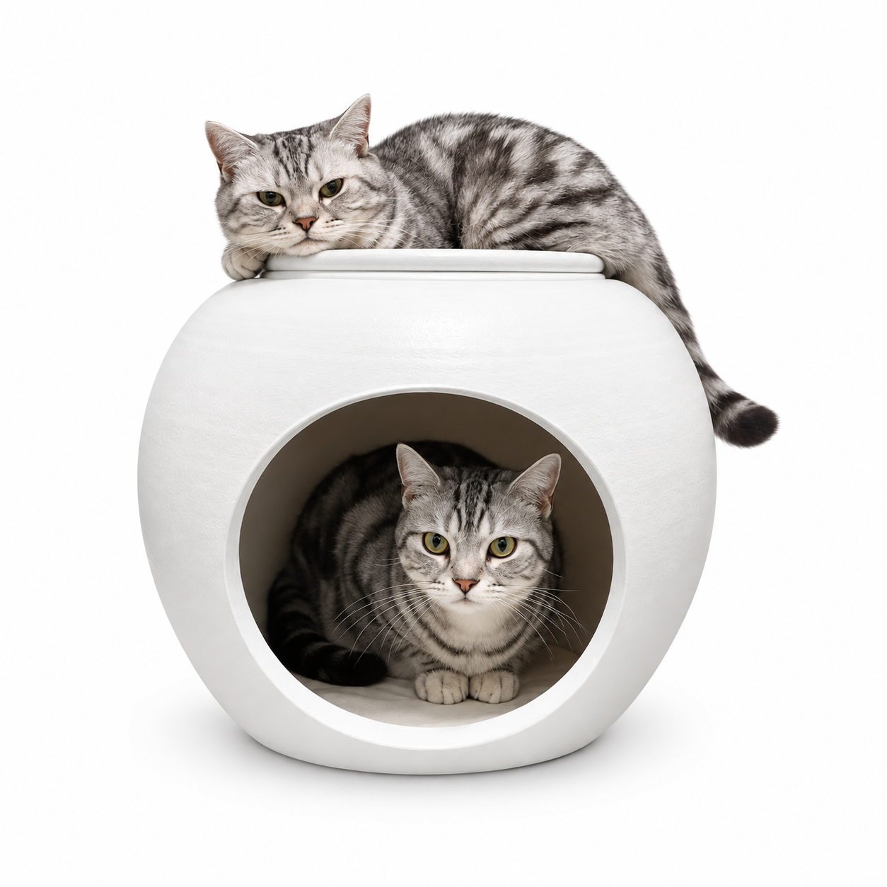 Terracotta Cat House (White)