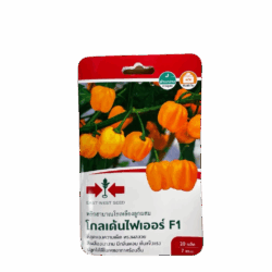 Golden Fire F1 Yellow Habanero Pepper Seeds (20 Seeds)