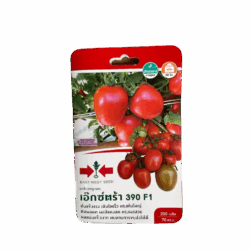 Extra 390 F1 Hybrid Tomato Seeds (200 Seeds)