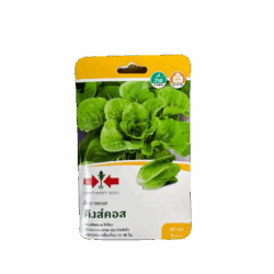Cos Lettuce Seeds (40 Seeds)