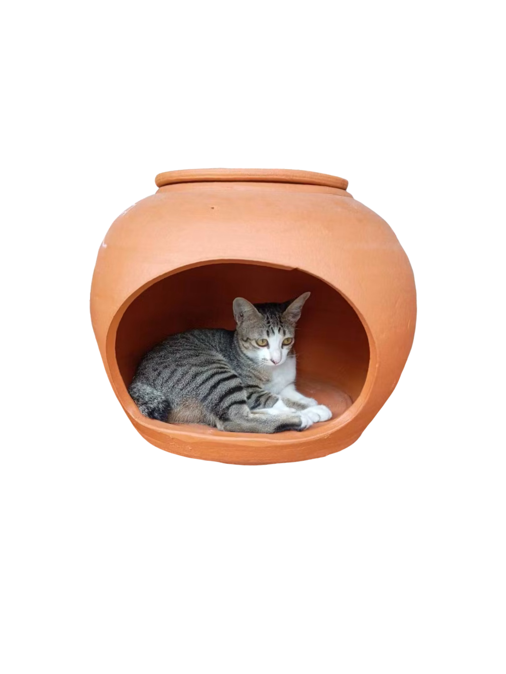 Terracotta Cat House - Image 7