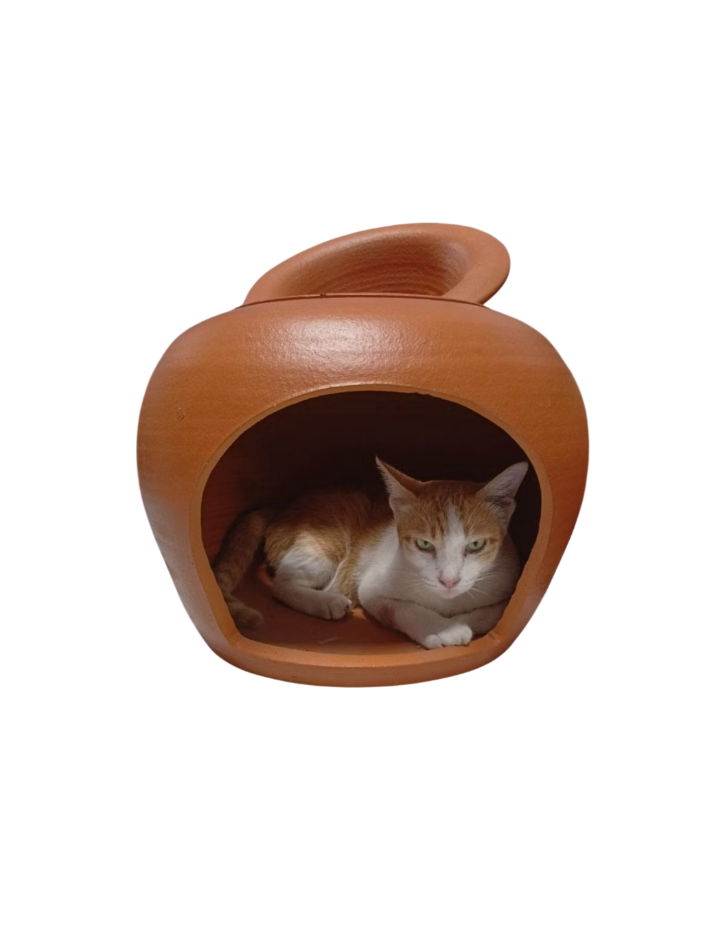 Terracotta Cat House - Image 3