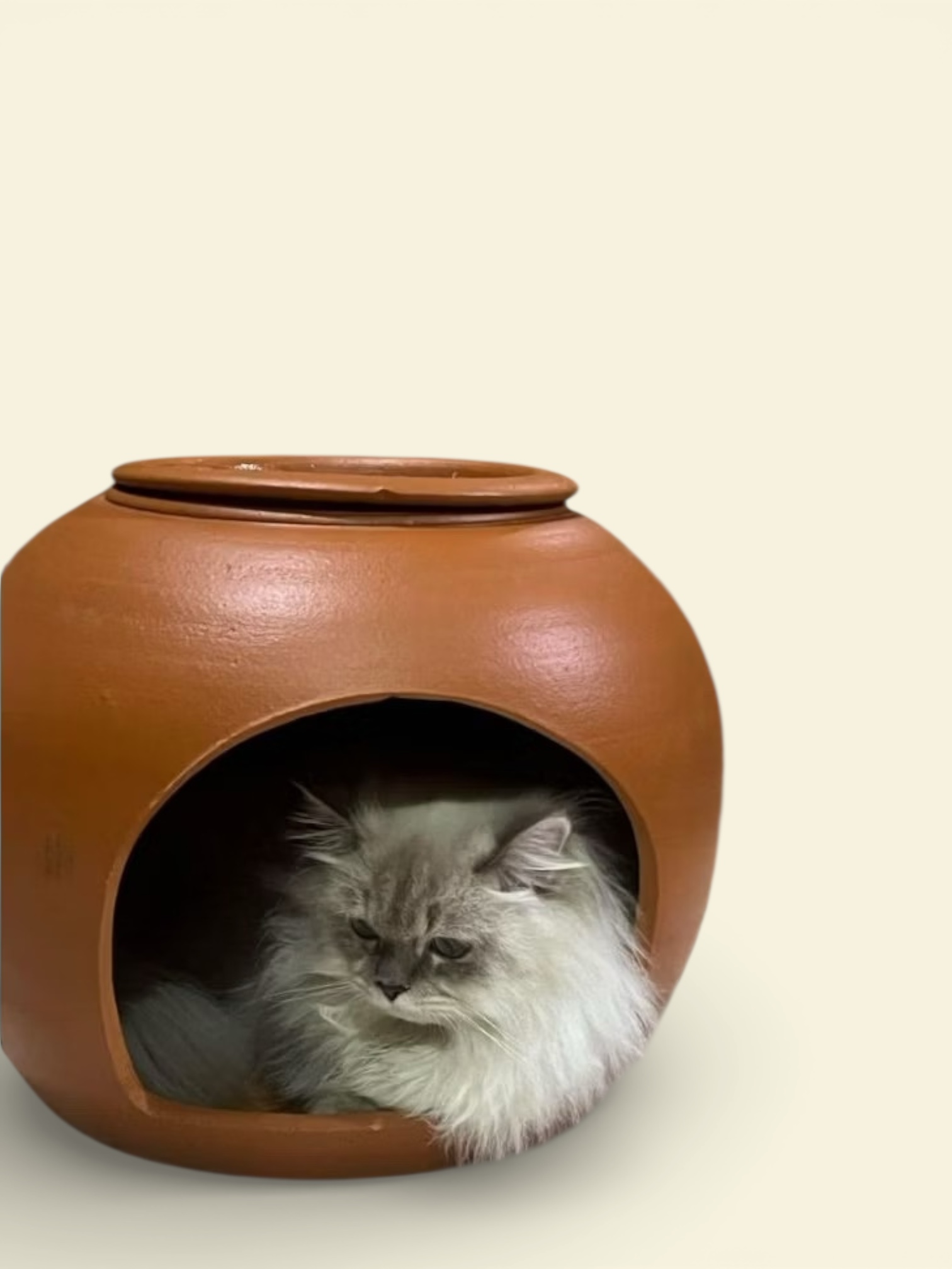 Terracotta Cat House - Image 4