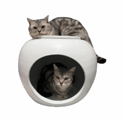 Terracotta Cat House (White)