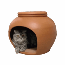 Terracotta Cat House