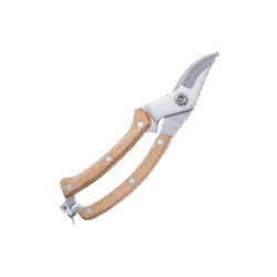 Pruning Shears