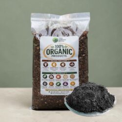 Rice Husk Charcoal