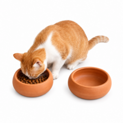 Terracotta Pet Bowl (7 Inch)