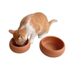 Terracotta Pet Bowl (7 Inch)